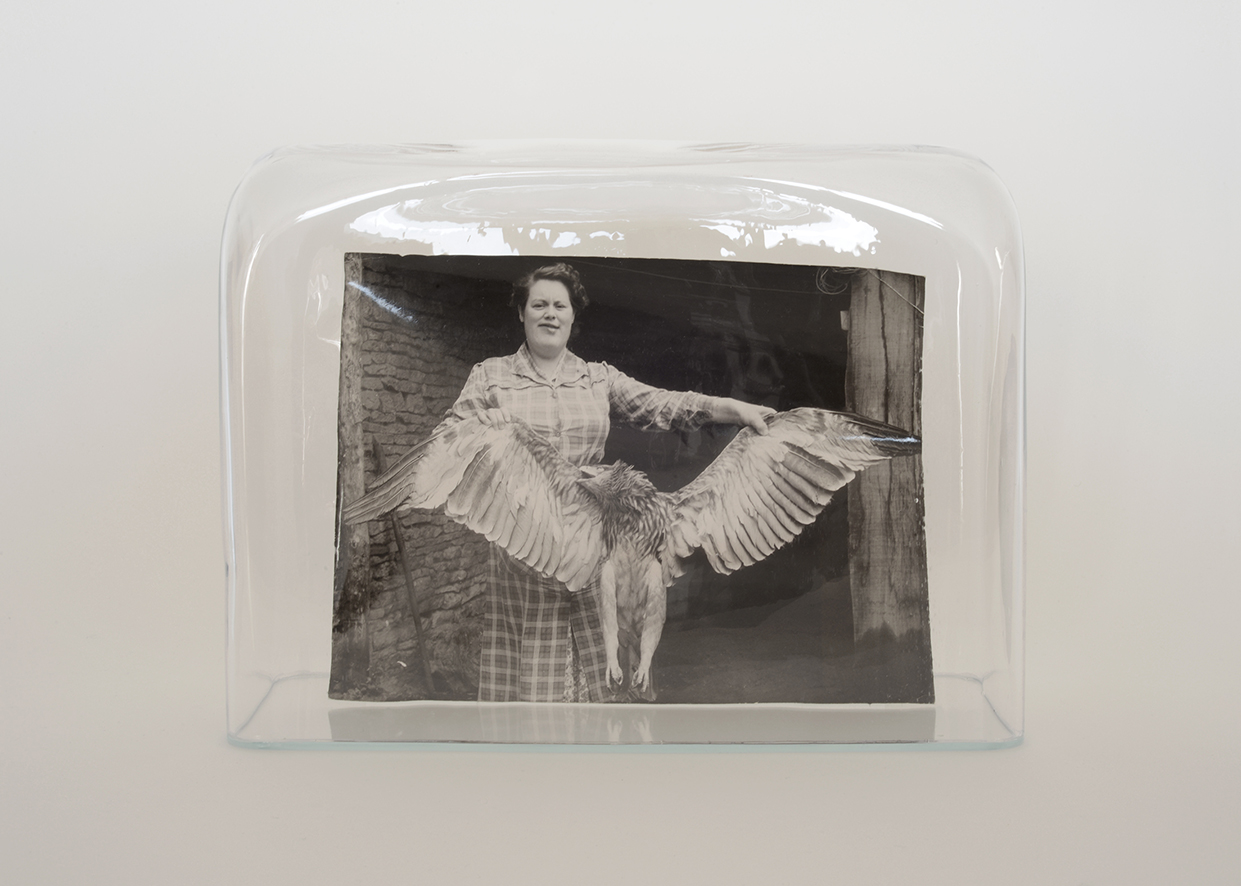captives 16 femme aigle BD