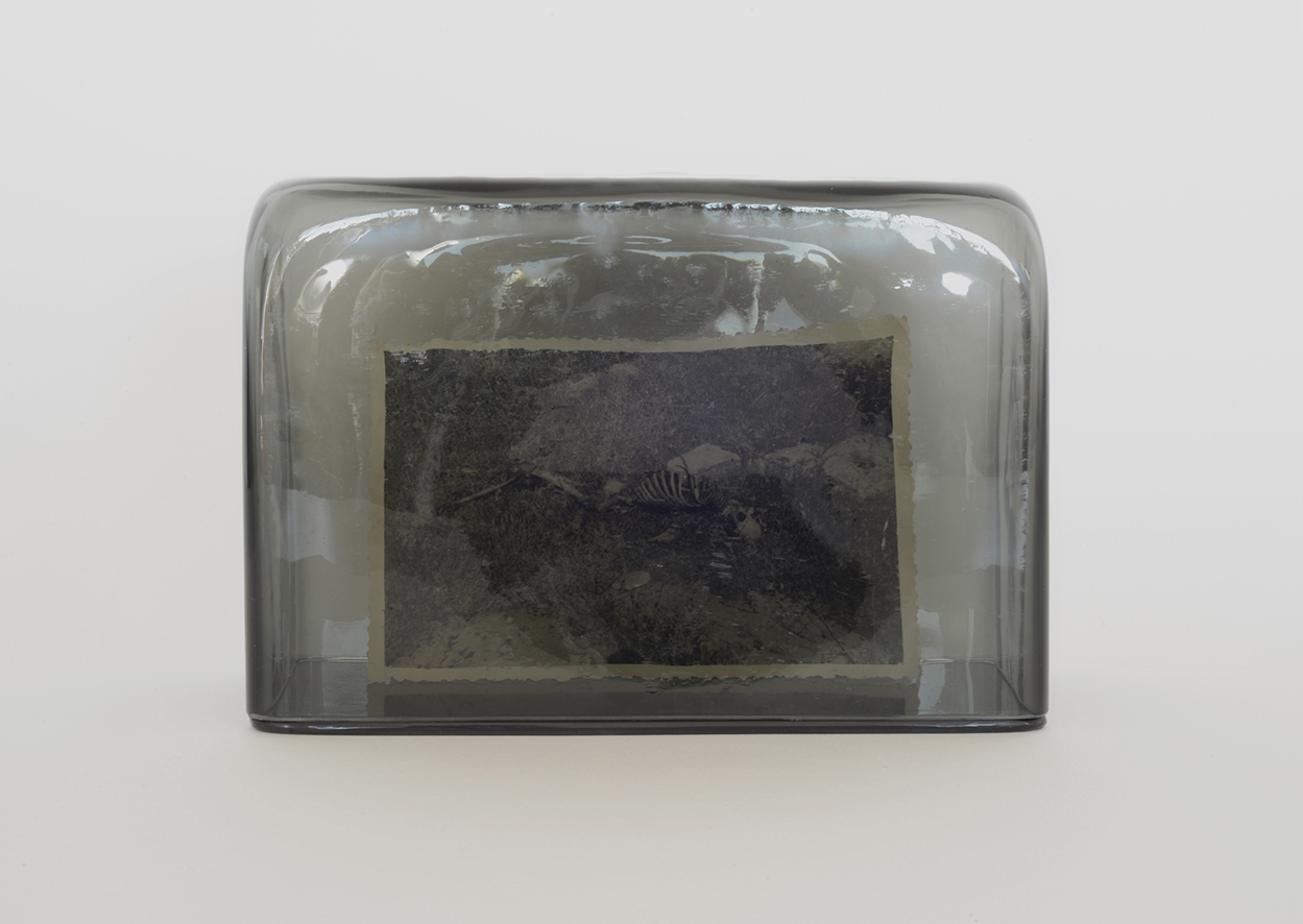 captives 7 squelette BD captives 7 squelette BD