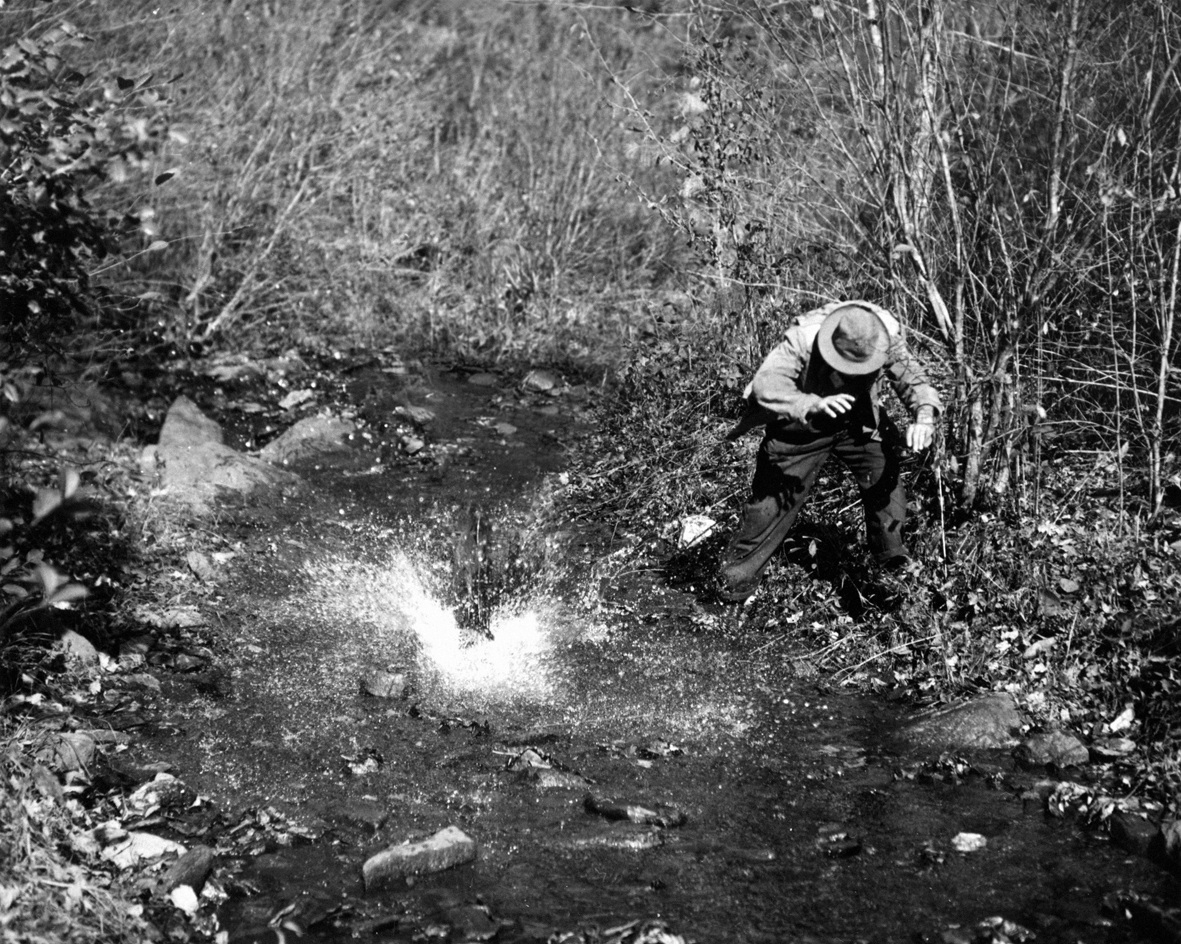 Sans titre SITE 12
